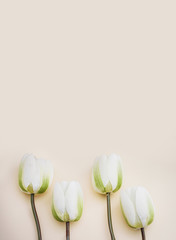 Four cute artificial white tulips in pastel background. Concept for Mother's Day celebration with copy space.