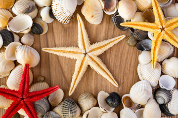 Frame made of seashells and red yellow sea stars on a brown wooden base