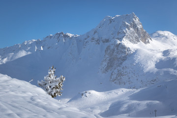Fototapeta na wymiar Lonely snow covered tree and mountain in pristine alpine landscape. Calm and tranquil winter scenery. French Savoy Alps in ski resort La Plagne