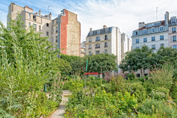 Fototapeta na wymiar Community Garden in Paris