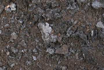 Firewood Ash Background