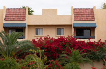 Fototapeta na wymiar Apartment building behind a wall with blooming bougainvilleas