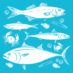 Fishing. Hand drawn sketch fish, sea bass, sardines, mackerel, tuna, mussels, clams and razor. Vector illustration. White on blue