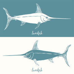 Hand Drawn Illustration of a Swordfish, Xiphias gladius, positive and negative