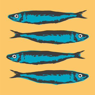 Hand Drawn Illustration a Group of sardines, Sardina pilchardus, on yellow background