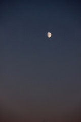 full moon in the sky