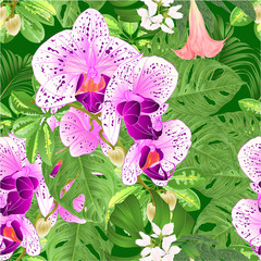 Bouquet with tropical flowers  floral arrangement beautiful orchid Phalaenopsis  purple and white with    Schefflera  and Monstera vintage vector illustration  editable hand draw