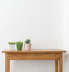 Three succulent plants in coloured pots on wooden table against white wall with copy space (selective focus)