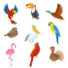 Obraz na płótnie Canvas Set of various wild, domestic, tropical, waterfowl birds isolated on white background