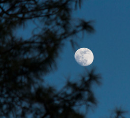 luna di notte © antomat