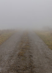 Dirt road into fog.