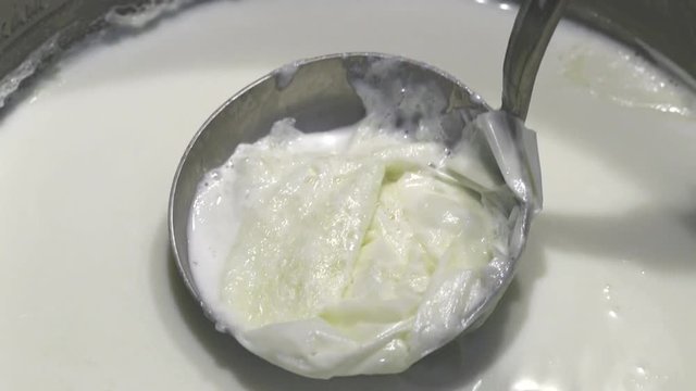 cooked milk and milk cream on it, The pellicle formed on milk, baked milk and formed slider layer, baked milk in a pot and milk cream on it,