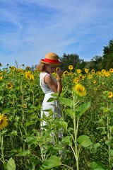 Mädchen steht im Sonnenblumen Feld und schaut nach unten
