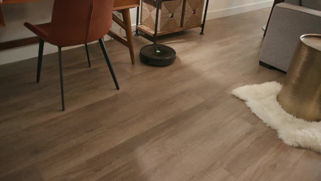 Robot vacuum cleaning house / Smart Home Features 