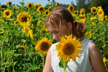 Mädchen von der seite mit Sonnenblume in der Hand, schaut nach unten und steht vor einem Feld mit...