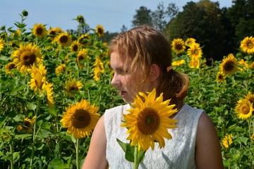 Junge Frau von der Seite mit Sonnenblume steht in einem Feld mit vielen großen Sonnenblumen