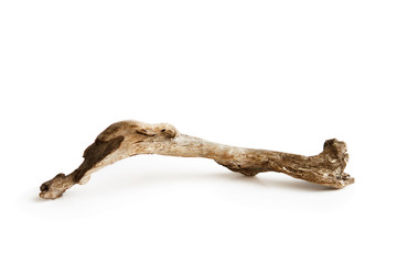 curve wooden snag found on the shores of the Gulf of Finland. Russia. On a white background, isolated, for decorating the interior.