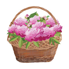 Wicker basket with peony flowers, vector isolated illustration