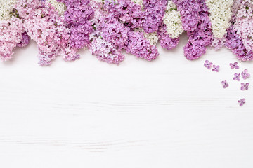 Pink lilac flowers on white background. Top view, copy space. Holiday concept. Spring background.