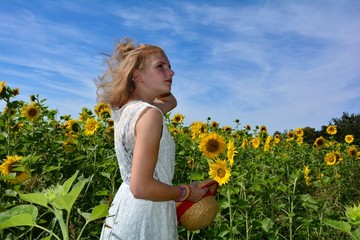 Mädchen steht mit weißem Kleid im Sonnenblumen Feld mit viel blauem Himmel