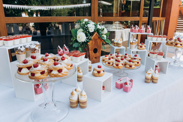 Beautiful wedding candybar with cakes with raspberry, souffle and wooden birdhouse decoration.