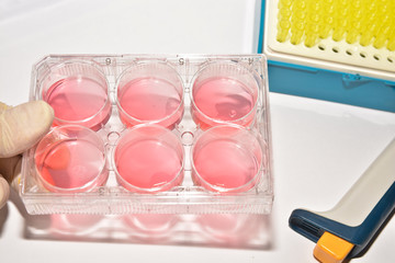 Cell technologies in biological research.