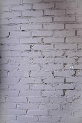 Fototapeta premium Background - brick wall.