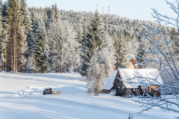 Fototapety na wymiar - Fototapeta24.pl