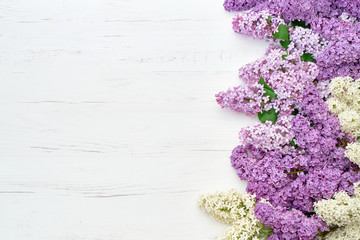 Spring lilac flowers on white background. Top view, copy space. Holiday concept. Spring background.