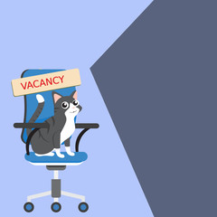 Vacancy Cat