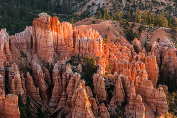 Glowing hoodoos of Bryce Canyon at sunrise