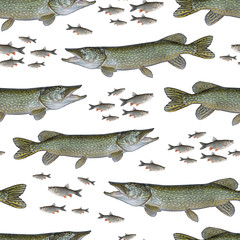 Naklejka premium Fishing seamless pattern of fish. Background from pike and chub fish isolated on white.