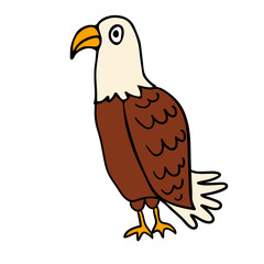 Cartoon doodle linear eagle isolated on white background. Vector illustration.  