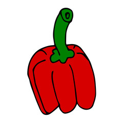 Cartoon doodle linear pepper isolated on white background. Vector illustration.  