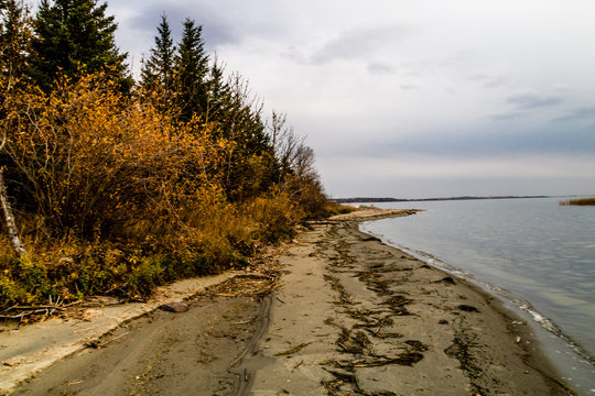 Sandy shoreline of Jackfish Lake, Battleford Provincial Park, Saskatchewan, Canada