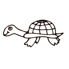 Cartoon doodle linear turtle isolated on white background. Vector illustration.   
