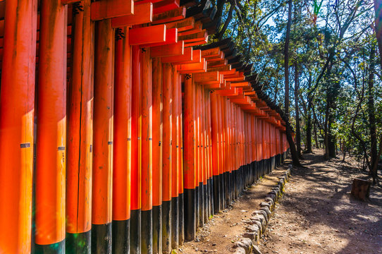 Fushimi Inari Taisha Torii, Kyoto, Japan © YukselSelvi