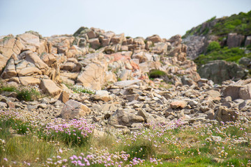 Fototapeta na wymiar View of the Kullaberg cliff in Sweden