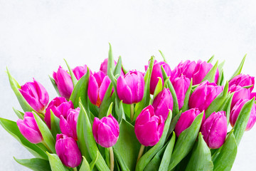 Pink fresh tulips