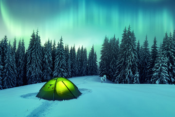 Aurora borealis. Northern lights in winter forest. Sky with polar lights and stars. Night winter...