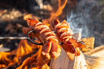 Roasted sausages on a stick over the open campfire. Outdoor food preparation