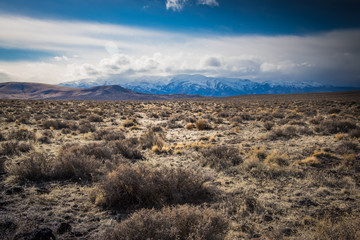 High Desert Mountains
