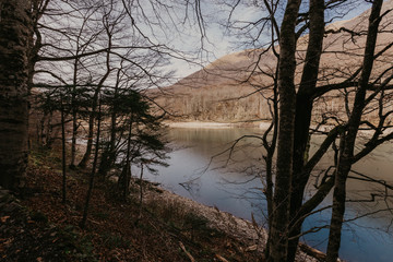 Obraz na płótnie Canvas Autumn forest with reflection on Biogradsko lake in Montenegro - Image.