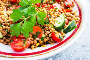 Vegan Lebanese Spiced Mint and Parsley Lentil Salad with Tomatoes and Cucumber