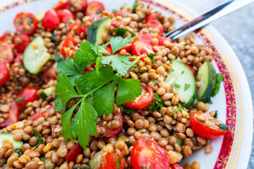 Vegan Lebanese Spiced Mint and Parsley Lentil Salad with Tomatoes and Cucumber