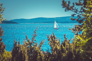 lone sail in the Kandalaksha Bay