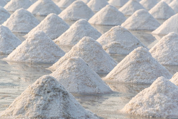 Fototapeta na wymiar Salt farm production is one of famous food industry of Phetchaburi, Thailand