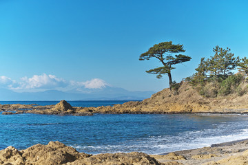 富士山と松と海ある風景