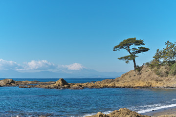 富士山と松と海ある風景
