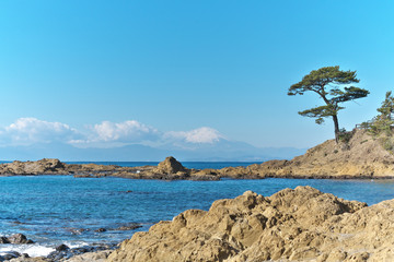 富士山と松と海ある風景